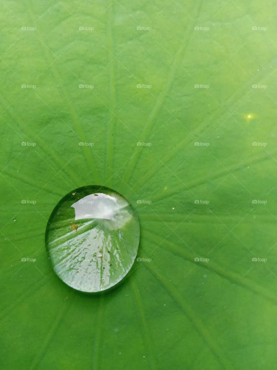 water