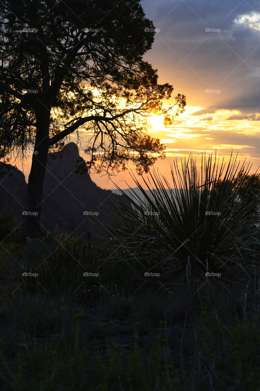 Enjoy the outdoor, enjoy the sunset