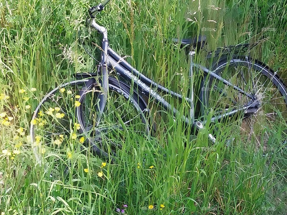 lonely bicycle