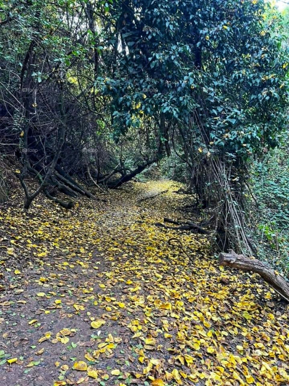 A fun trip in nature