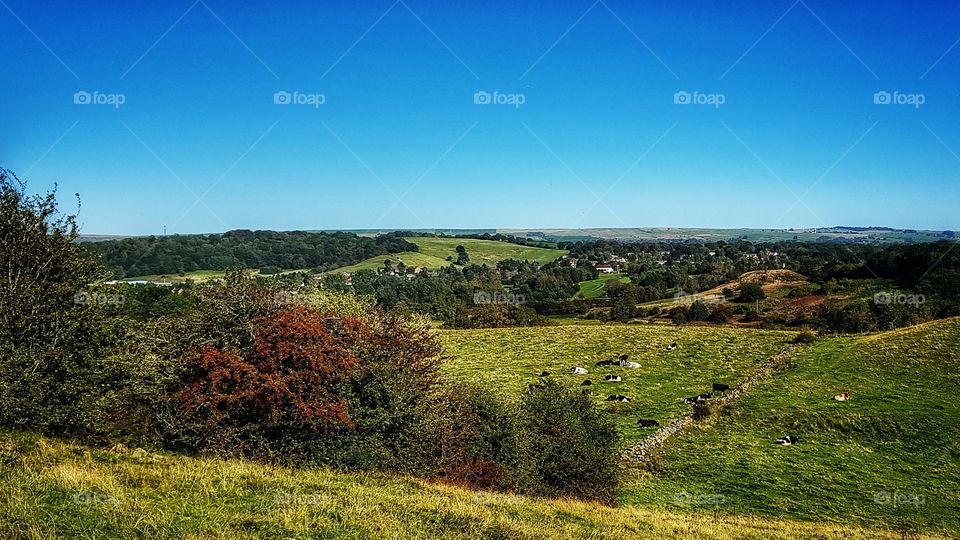 Bucolic Staffordshire countryside in late summer near Leek, England