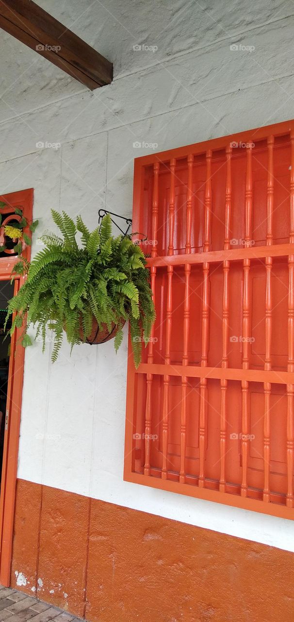 Beauty next to a window