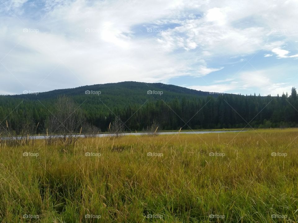 Open skies, field, & Mountain