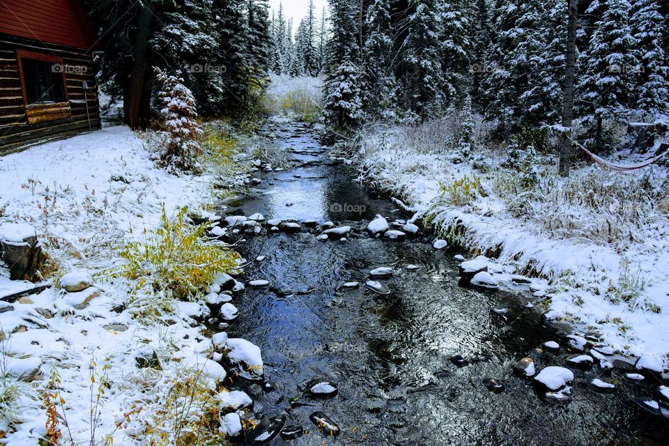 Fresh Dusting of Snow