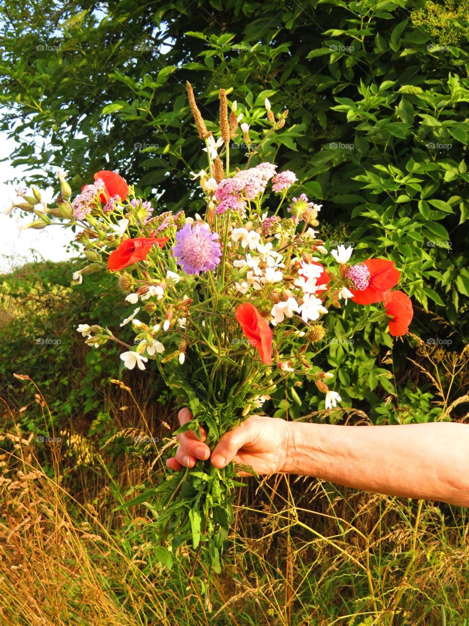 bunch of flowers