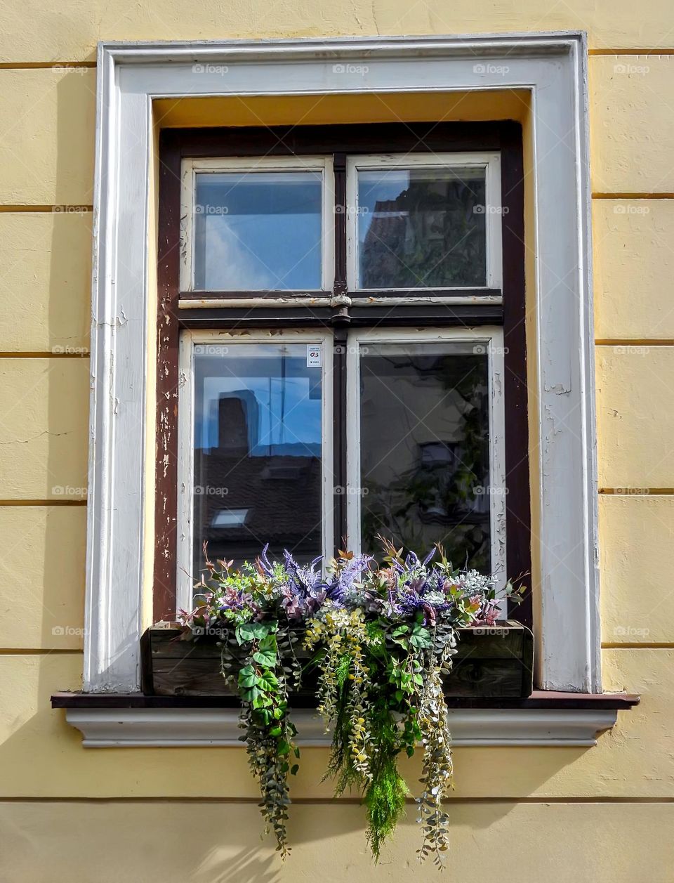 Window