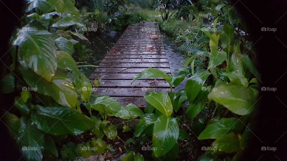 Garden Bridge in the Rain