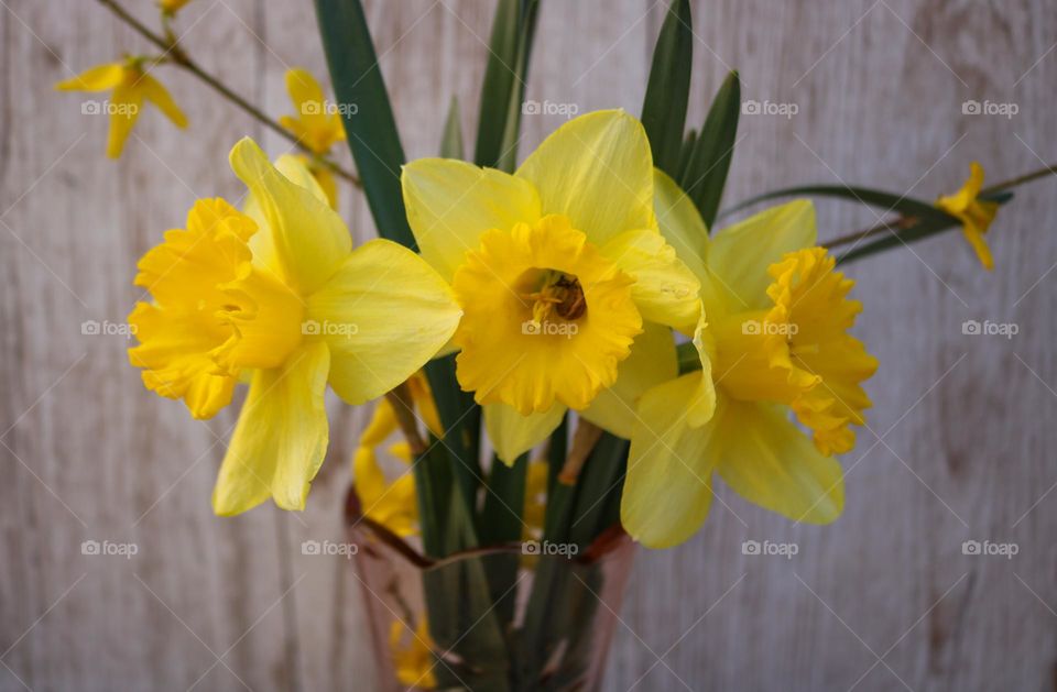 Yellow flowers