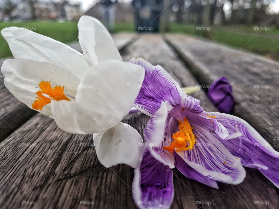 on a bench