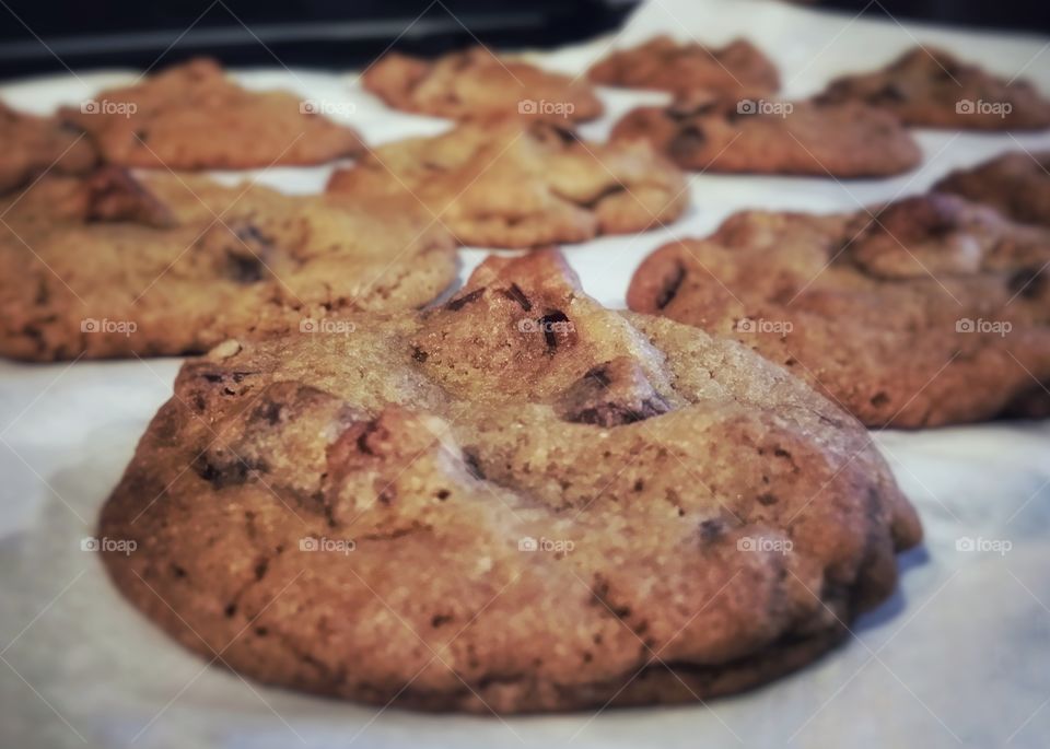 Homemade Chocolate Chip Pecan Cookies