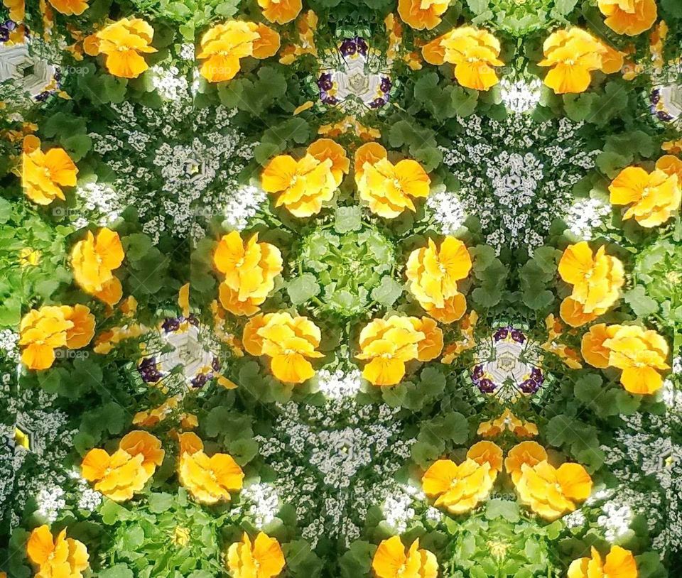 Kaleidoscope Spring flowers of yellow green and white