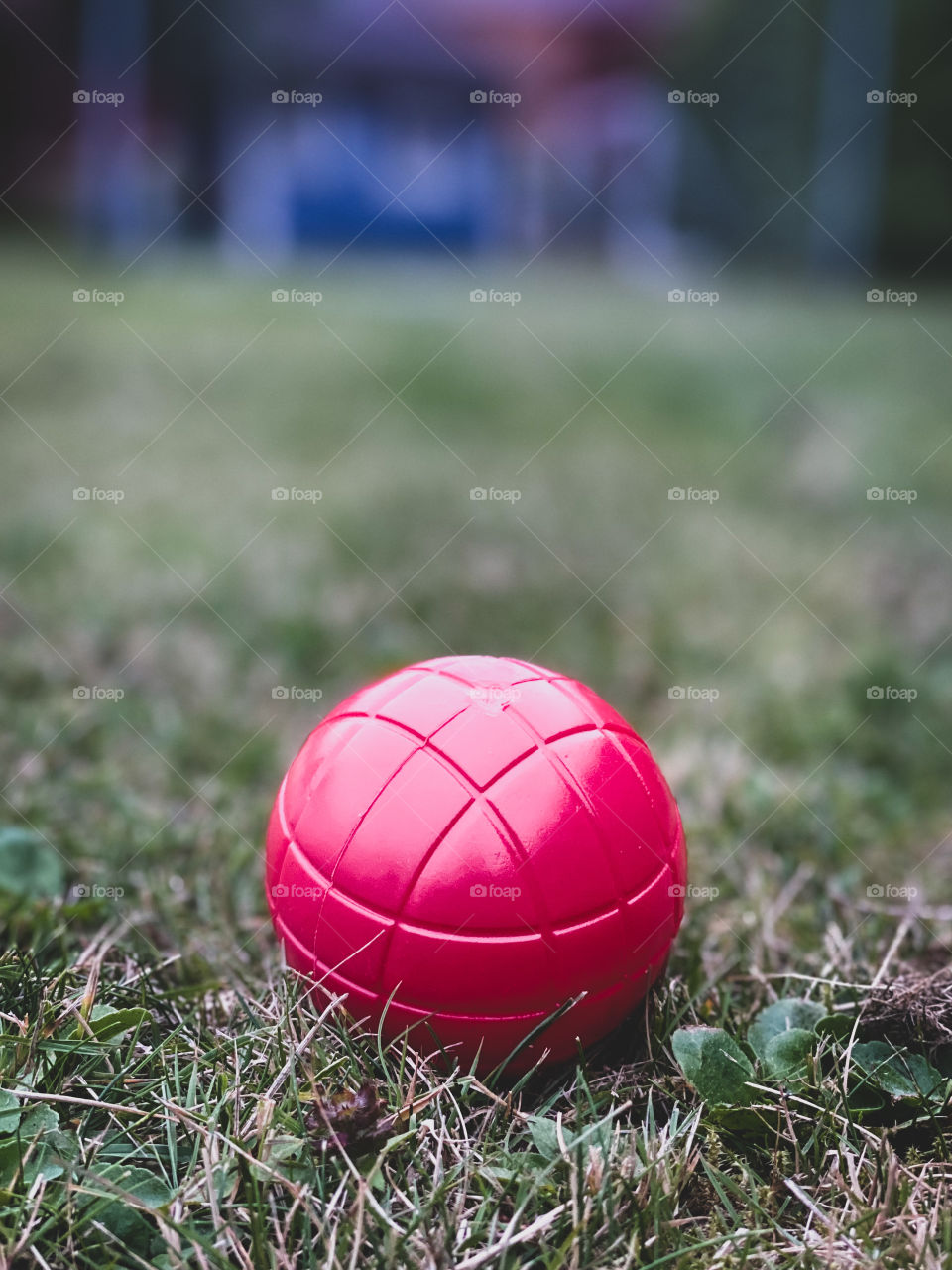 Red ball in green grass