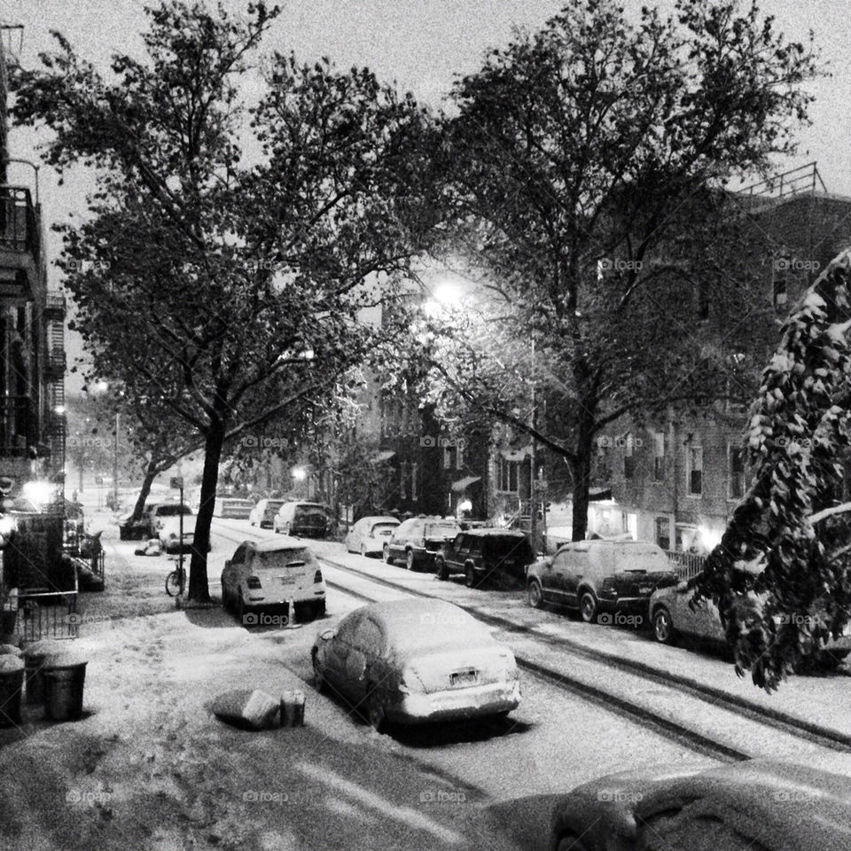 snow brooklyn snowstorm noreaster by Sarah_Thomo