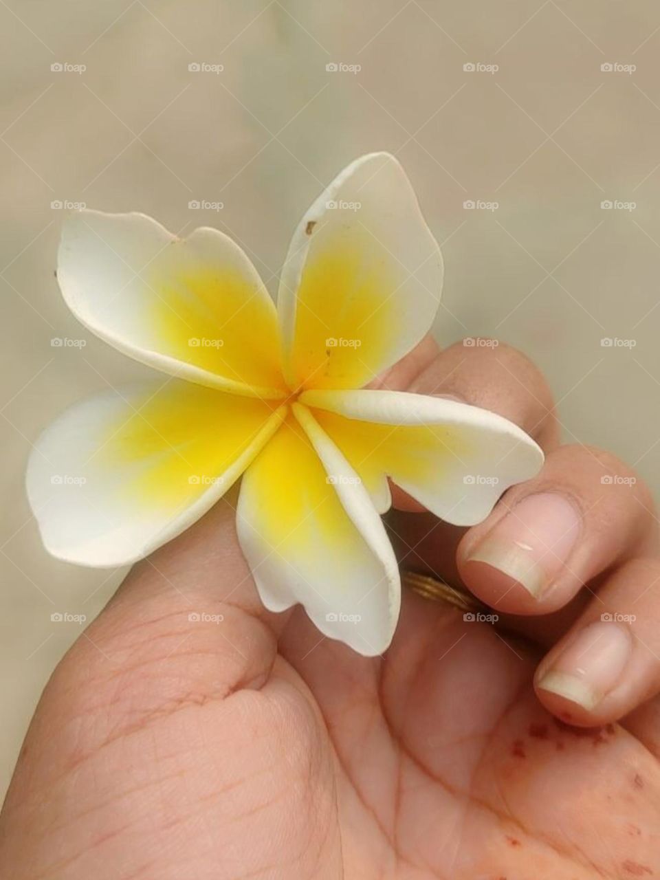 Every flower blooms in its own time.