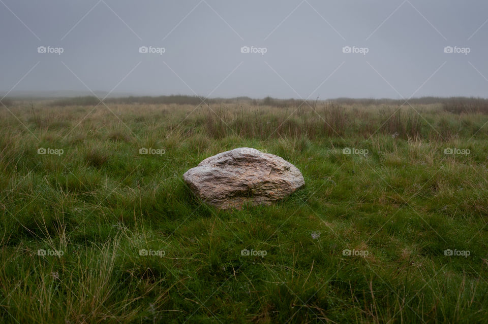 Stone in fields.