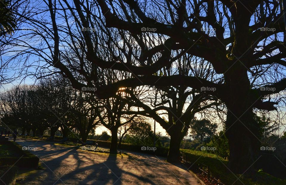 Paseo de La Herradura, Alameda Park. Paseo de la Herradura, Alameda Park, Santiago de Compostela