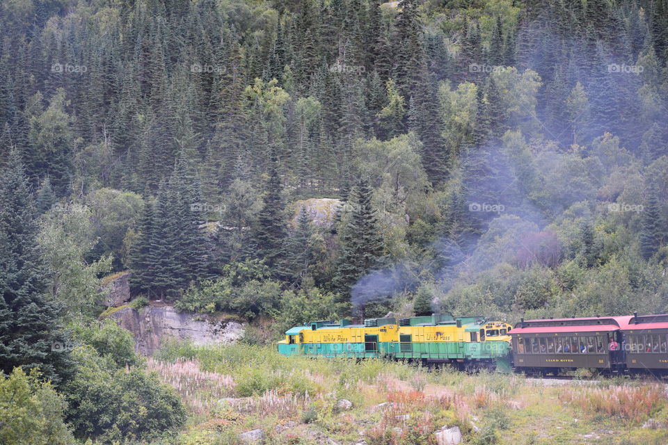 Skagway Train