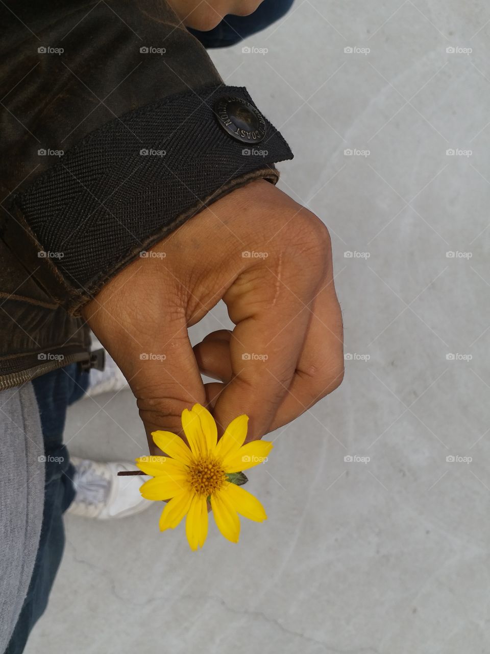 some hand and flower picture using my phone