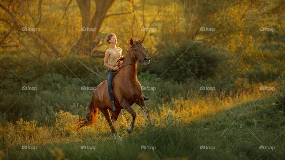Teen girl with her horse in a farm at sunset