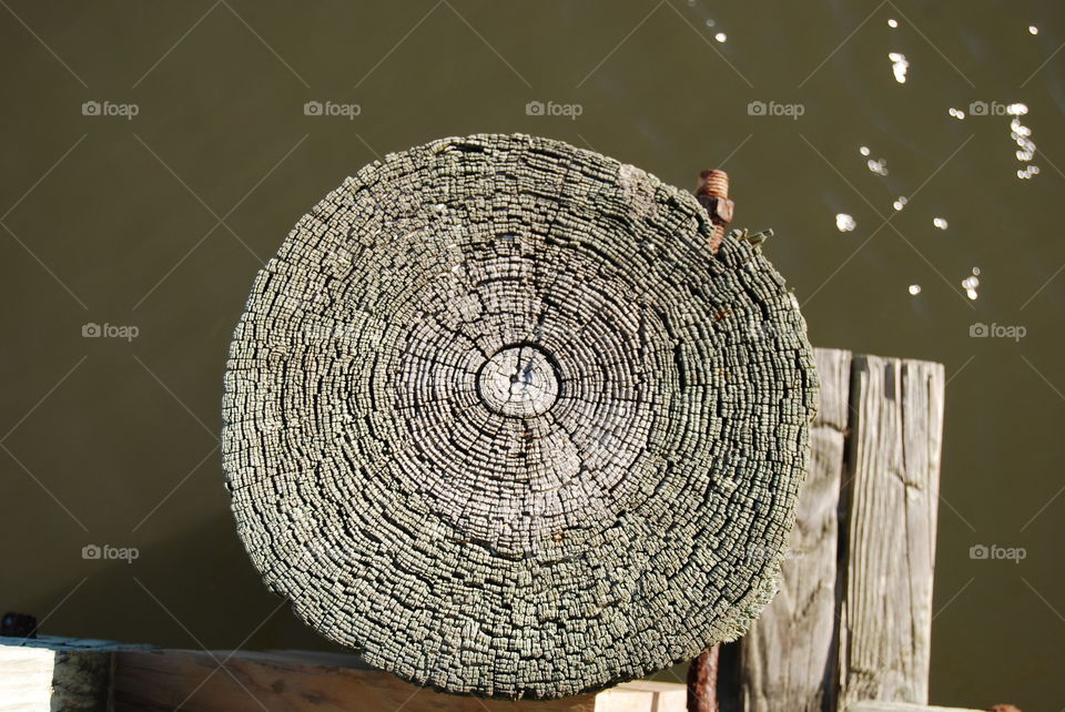 Wooden pier piling texture 