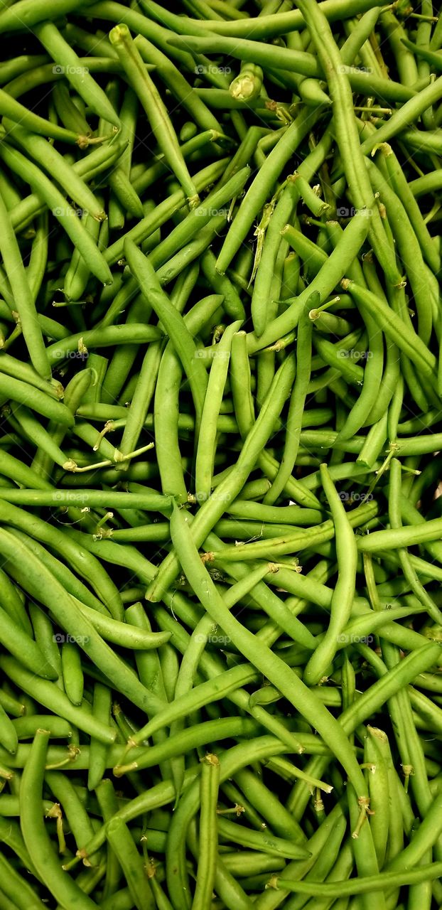 Bean green