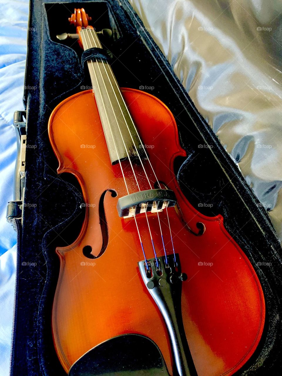 Violin 