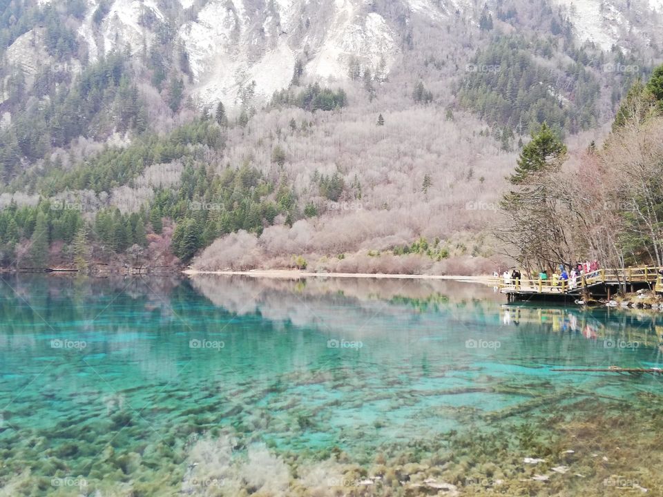 Lake Reflection in the Winter 