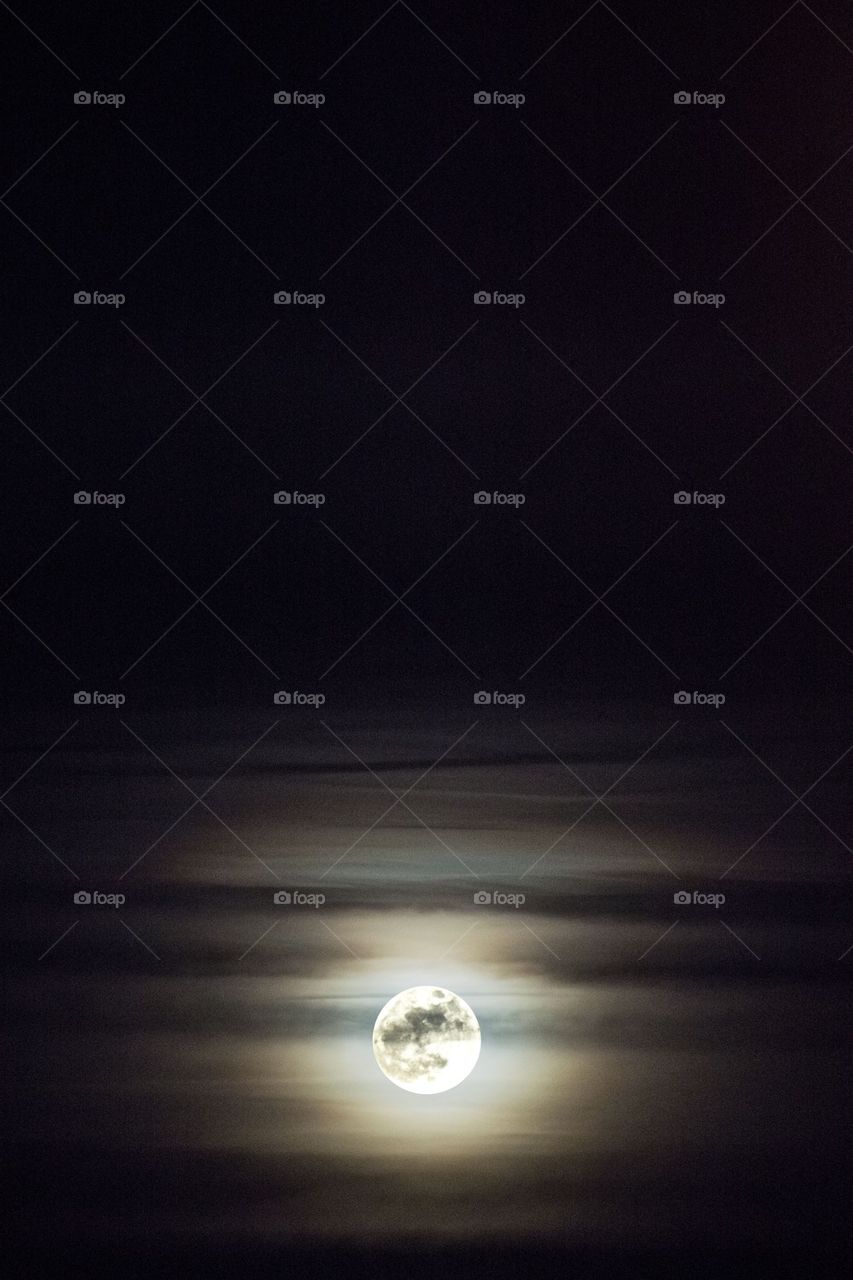 Mono in the darkness