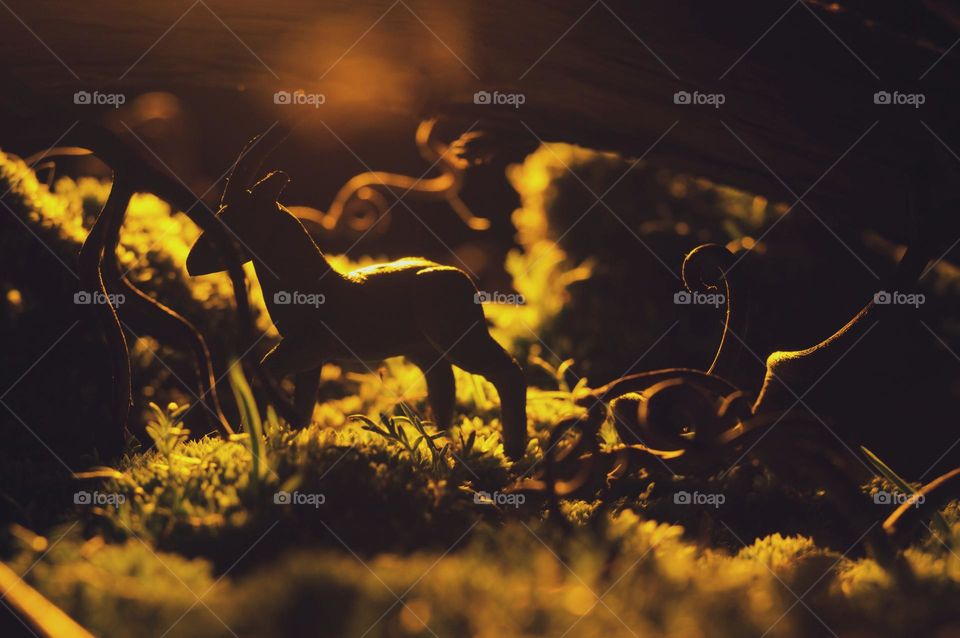 At sunset, a beautiful silhouette of a forest roe deer sneaks through the forest through twisted tree roots and tall lush grass.  This is a plasticine model I made for shooting.