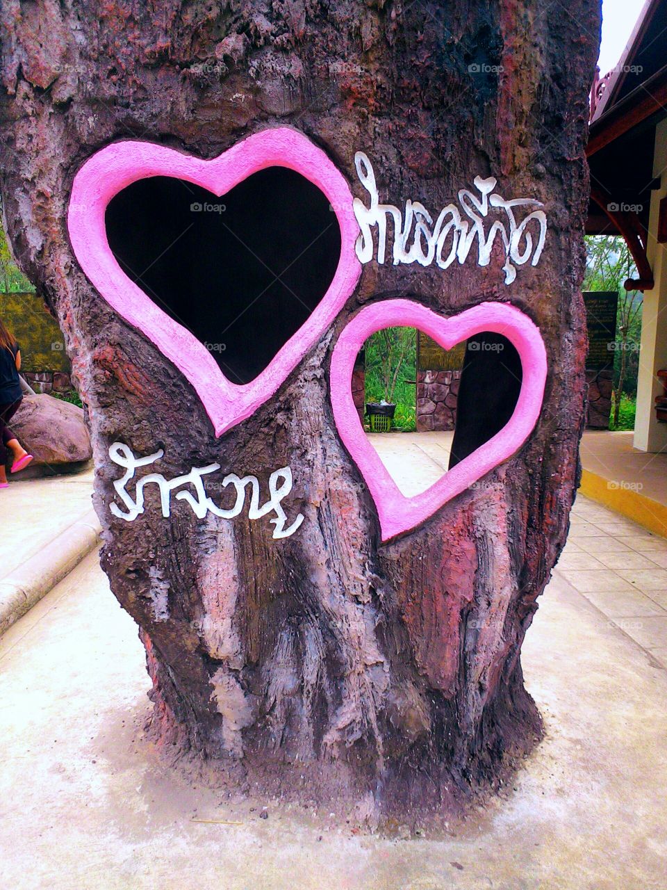 Pink heart shape on tree trunk