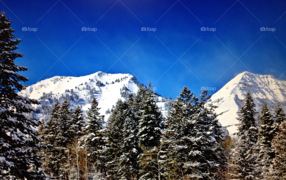 Snow, Mountain, Winter, Wood, Scenic