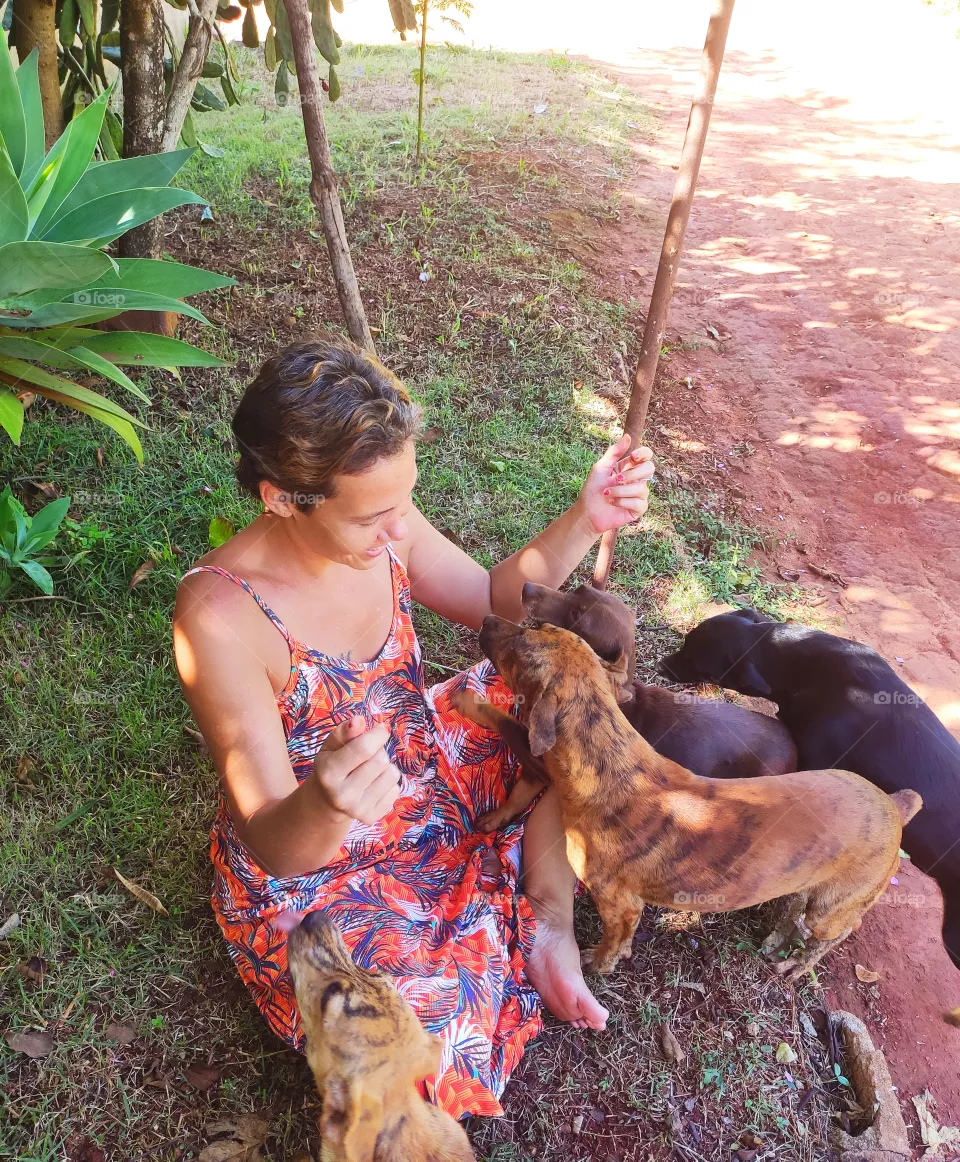Girl and Dogs