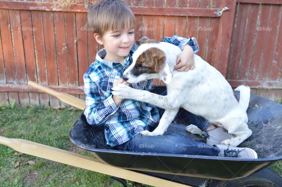 Young boy and mixed breed puppy hugging and sitting together in a wheelbarrow outdoors