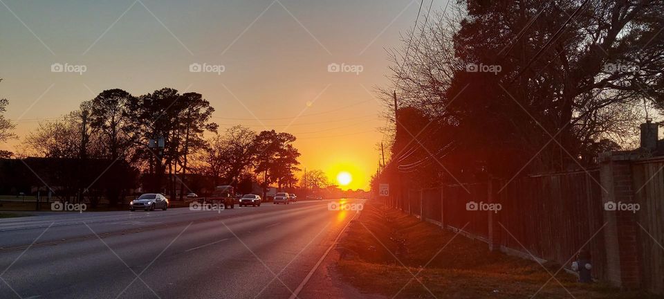 The Orange Sun of Spring!