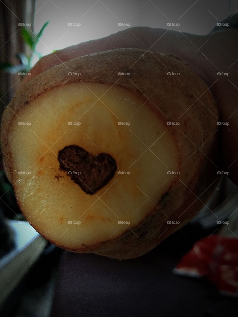 Potato Loves You/Valentine