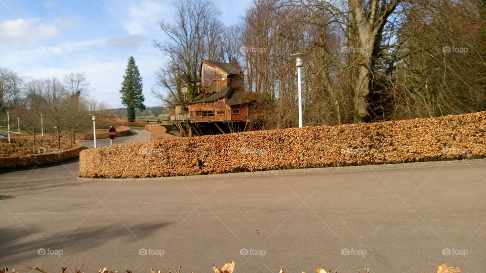 Large treehouse restaurant in England