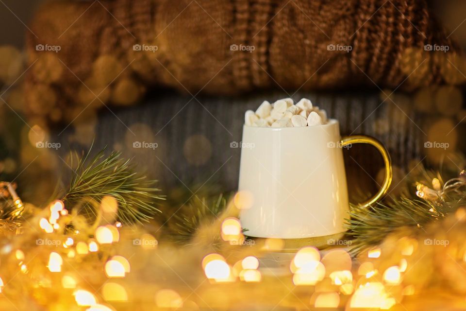 Cup of cocoa with marshmallow 