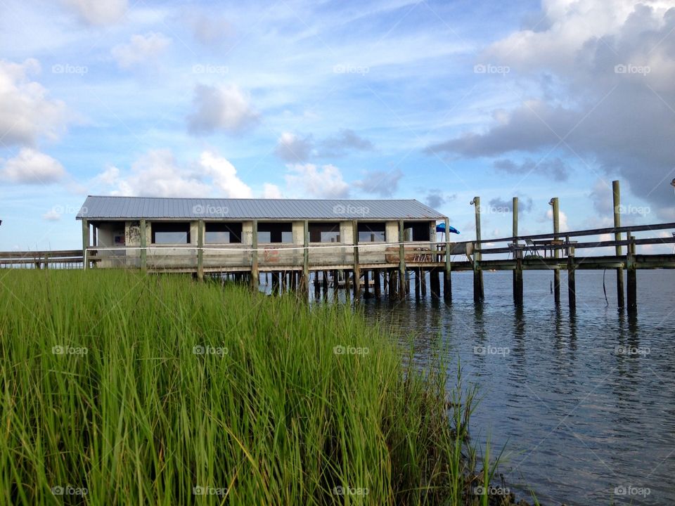 View from kayak launch