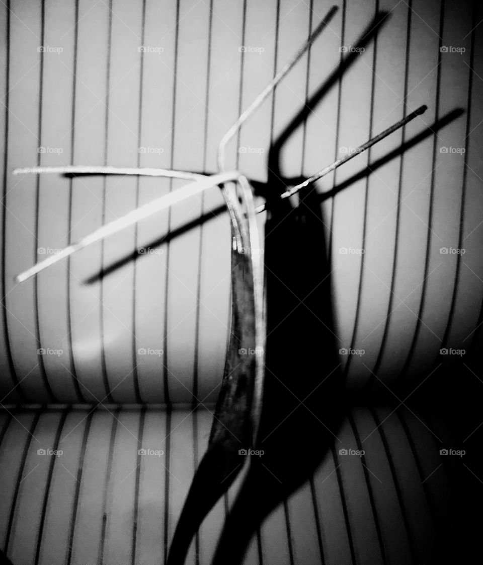 it takes nothing to be creative, that's the essence of photography, creativity makes you exceptional, you stand out in the mist of many, be identified with someone beautiful like creative photographer.