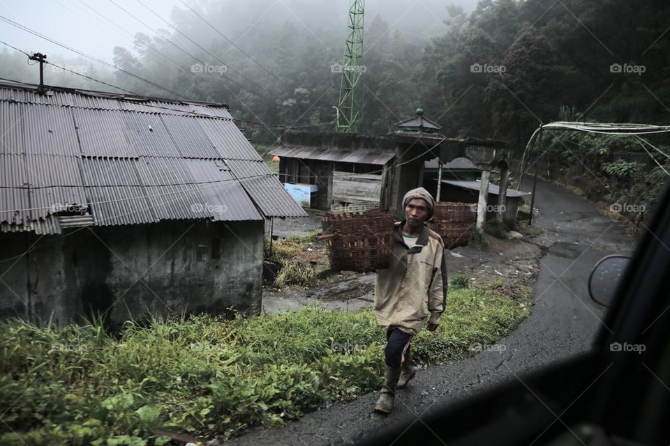 Petani Kentang