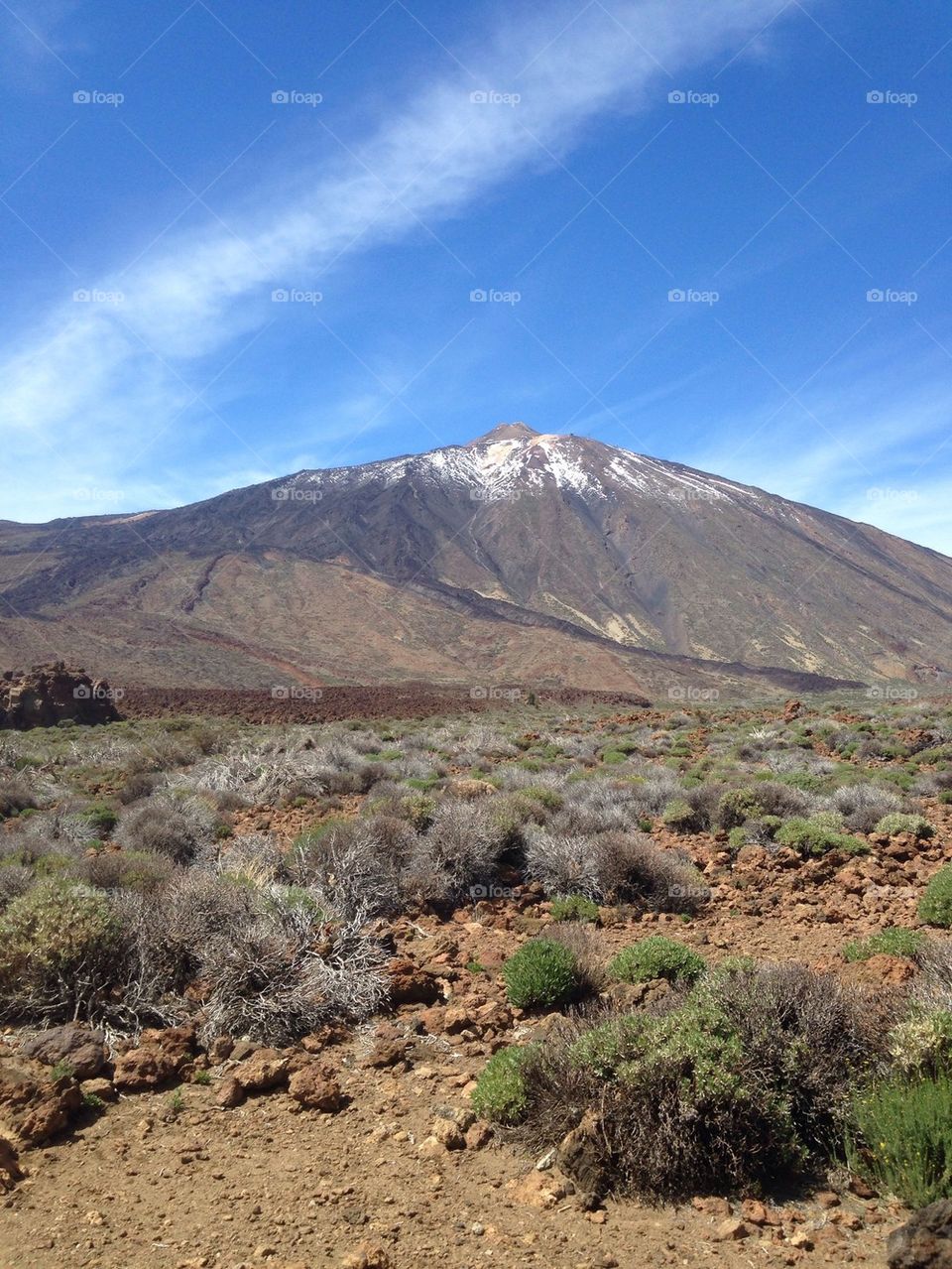 The top of El Teide