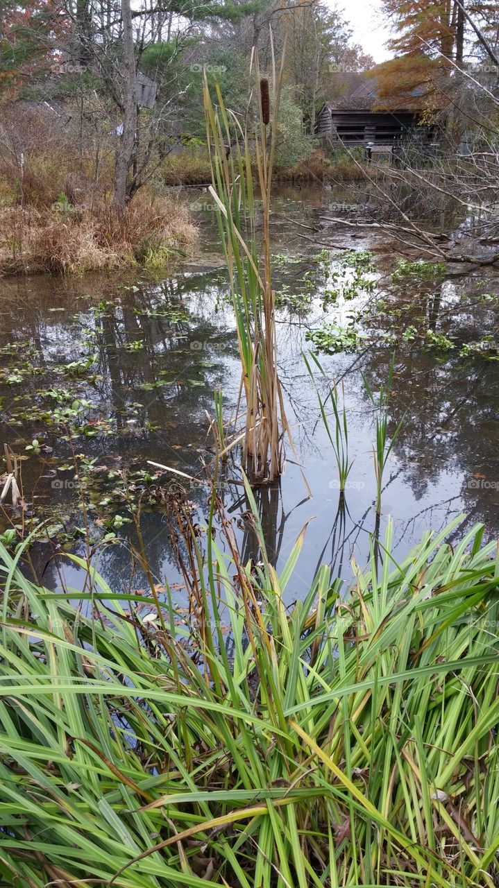 peace valley park. bucks county, pa