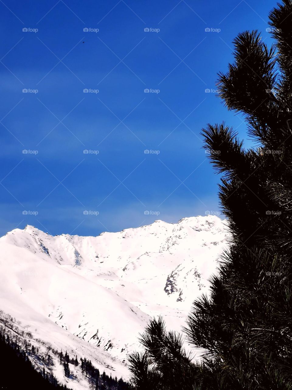 In era of social media franticsm let's make photography meaningful