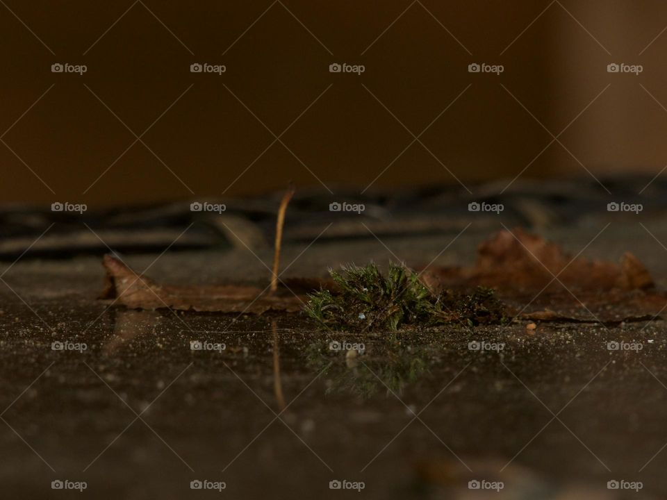 Moss on the garden table, time for a clean