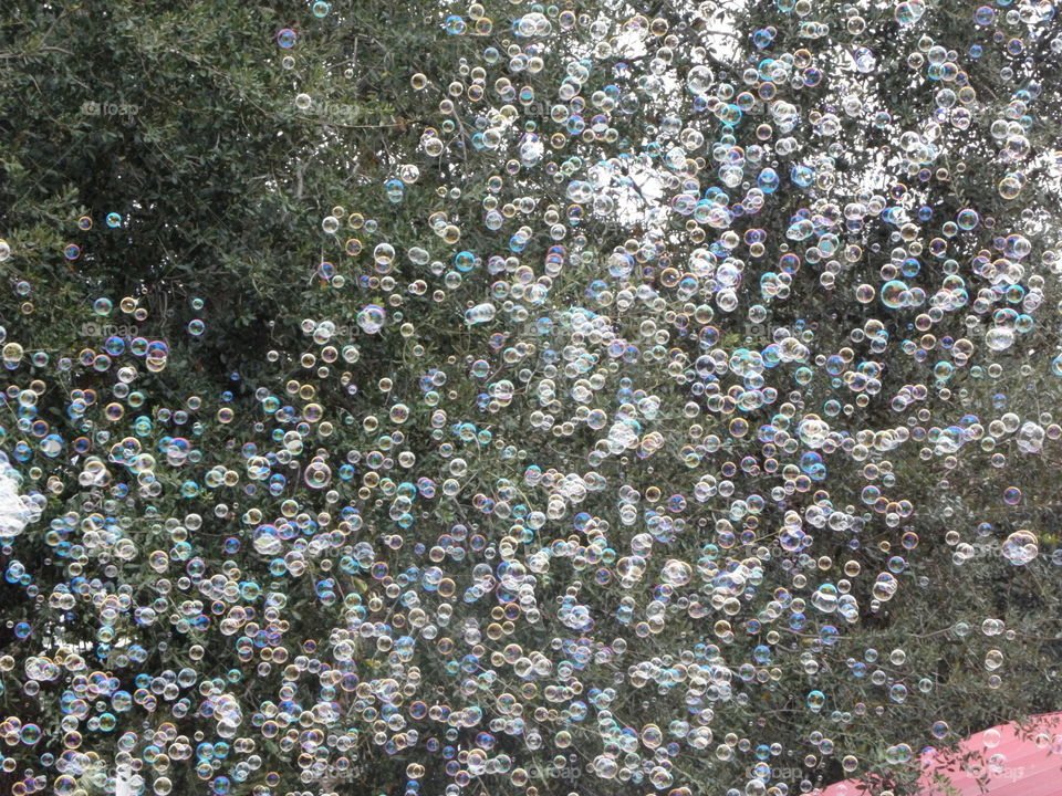 Bubbles