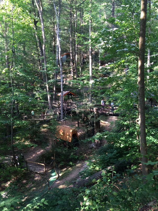 Mountainside Escape