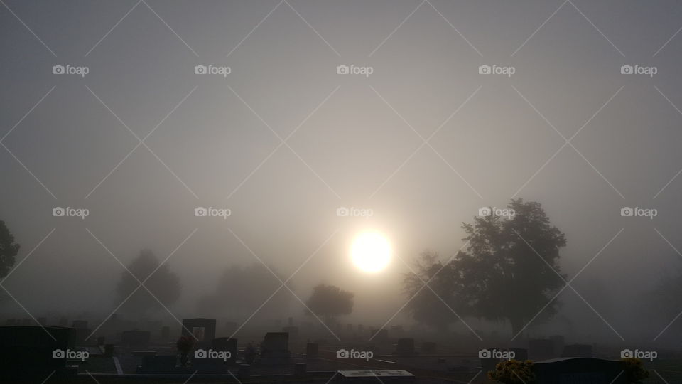 Burning thru the fog