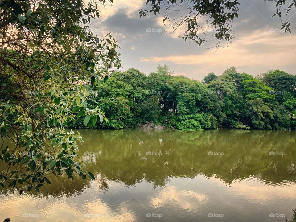 🌇🇺🇸 An extremely beautiful sunset in Jundiaí, interior of Brazil. Cheer the nature! / 🇧🇷 Um entardecer extremamente bonito em Jundiaí, interior do Brasil. Viva a natureza! 
