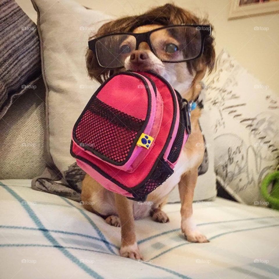 Little ones first day back in school 😂