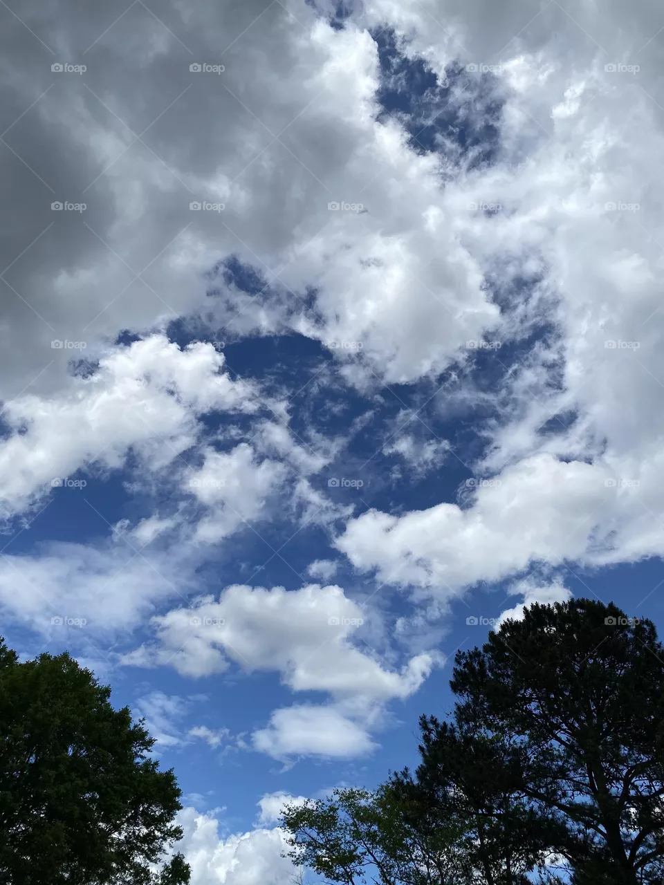 A beautiful sky day 